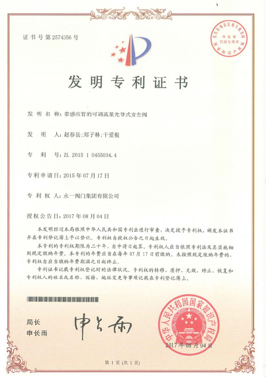 Pressure Safety Valve Patent Certificate(9)