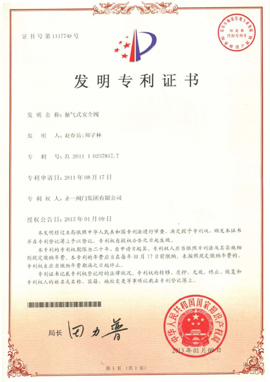 Pressure Safety Valve Patent Certificate(10)