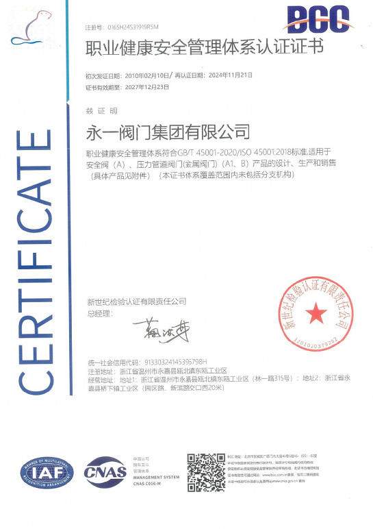 ISO 9001 Occupational Health and Safety Management System Certification